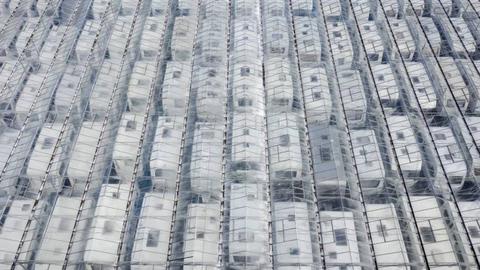 Foto EPA/SEM VAN DER WAL