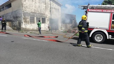 Fotos e vídeo Belinda Miranda