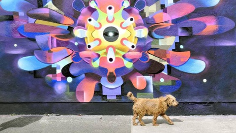 Foto EPA/Aidan Crawley