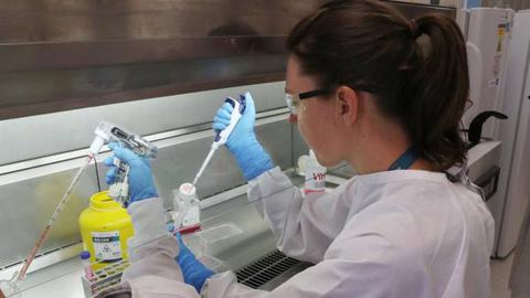 Foto EPA/DAVID CROSLING