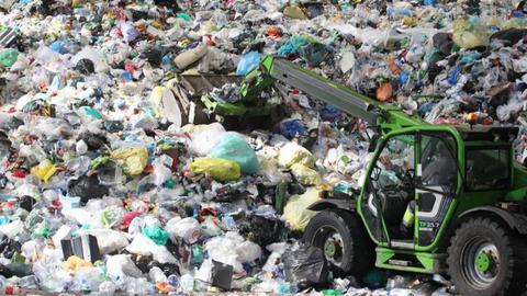 Ivo Pereira/Global Imagens