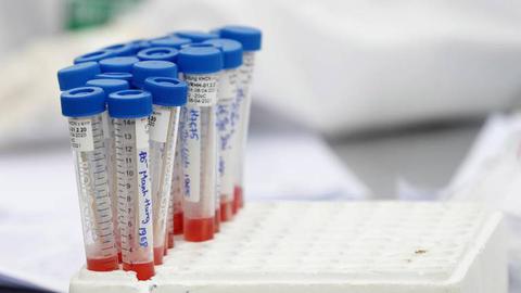 Foto EPA/LUONG THAI LINH