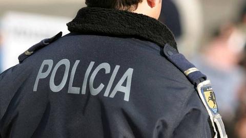 A iniciativa partiu da PSP. Junta a Guarda Nacional Republicana, o Serviço de Estrangeiros e Fronteiras, a Polícia Marítima, as polícias municipais e corpos de bombeiros.   Foto Arquivo