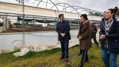 FOTO PEDRO SARMENTO COSTA/LUSA