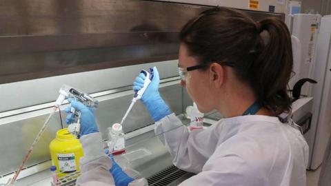 FOTO DAVID CROSLING/EPA