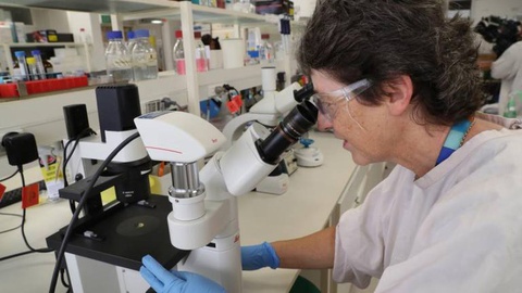 FOTO DAVID CROSLING/EPA