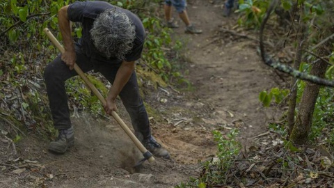 Foto Fernando Fontes / Global Imagens