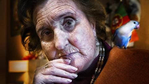 Foto Maria João Gala /Global Imagens