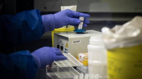 Foto JOSÉ SENA GOULÃO/LUSA