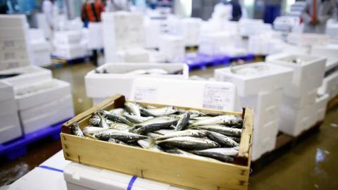 Foto Thomas SAMSON / AFP