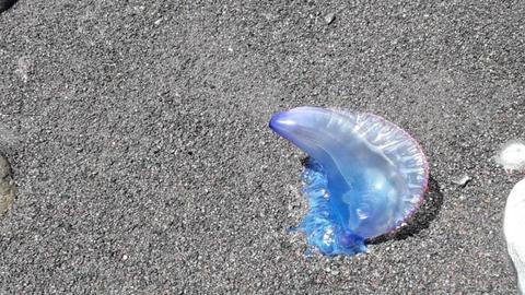 Vídeo Orlando Drumond