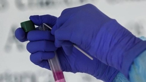 Foto ANTÓNIO COTRIM/LUSA