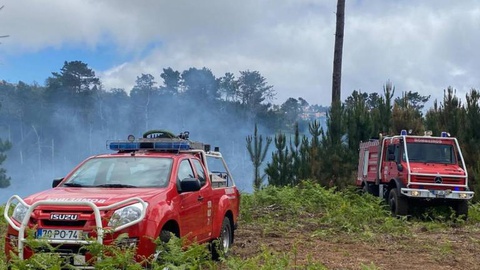 Foto Eugénio Perregil