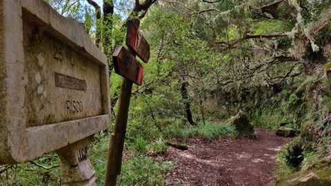 O percurso das 25 Fontes está condicionado, com obras em curso para repor a circulação e reabilitar a antiga vereda da Palha Carga. Fotos DR