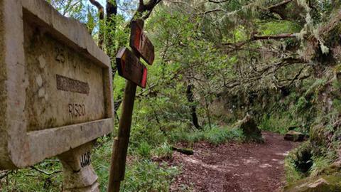 O percurso das 25 Fontes está condicionado, com obras em curso para repor a circulação e reabilitar a antiga vereda da Palha Carga. Fotos DR