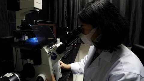 Foto EPA/RUNGROJ YONGRIT