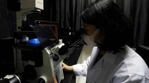 Foto EPA/RUNGROJ YONGRIT