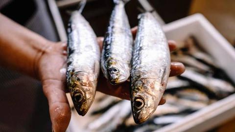 Foto Igor Martins / Global Imagens