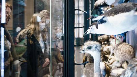 Foto EPA/CLEMENS BILAN