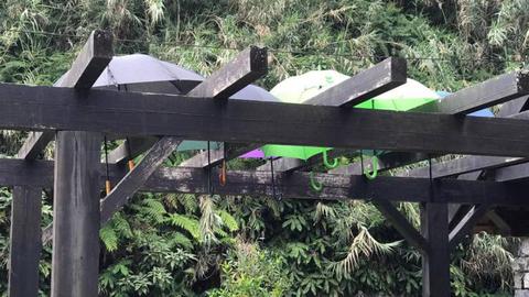 Quem não tem cão, caça com gato, que é o mesmo que dizer: à falta de resguardo, abrem-se os guarda-chuvas. E com criatividade, tudo se resolve. A foto é de Carlos Teixeira.