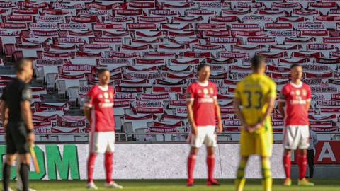 Foto Global Imagens