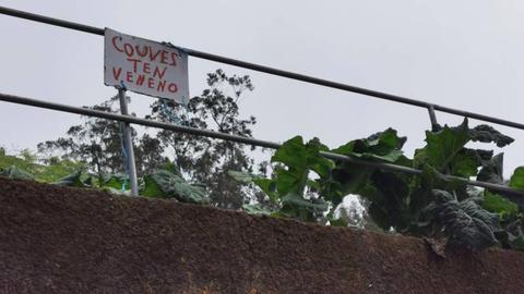 “Não vá a tentação se sobrepor às boas maneiras, eis o aviso, mas não em muito bom português...” - Maria Silva.