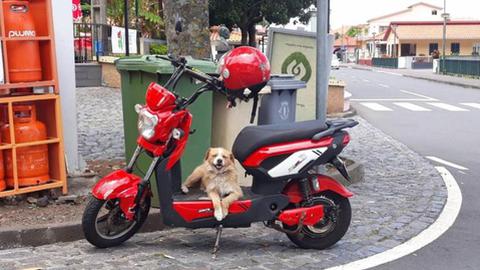 “Esta cá não precisa de alarme!”, observa Andreína Ferreira.