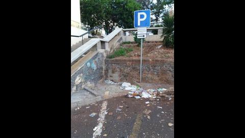 “Falta de limpeza na Rua 2 do Bairro do Hospital por parte da Câmara Municipal do Funchal!” - Delta Pereira.