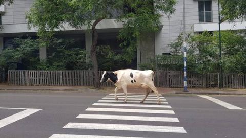 Fotos Orlando Drumond