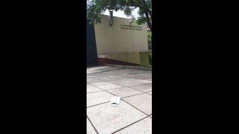 “Alguém perdeu a máscara a caminho da Praia Formosa ou então acha que o chão é sítio para despejar o lixo”, observa o leitor F.R., lamentando a falta de civismo 
