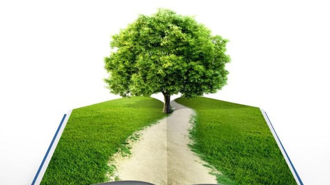 Foto Shutterstock