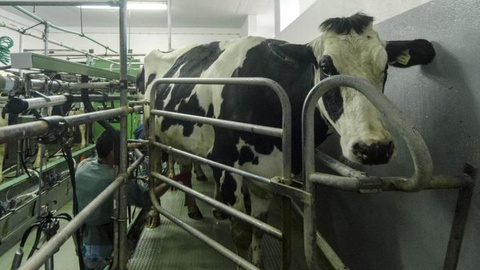 Foto EDUARDO COSTA/LUSA