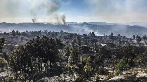 Alguns idosos foram retirados de suas casas por precaução, constatou a Lusa no local.