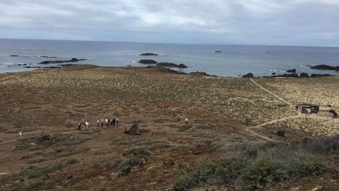 A Selvagem Pequena é, agora, monitorizada e controlada por um sistema de vigilância, a partir da Selvagem Grande.
