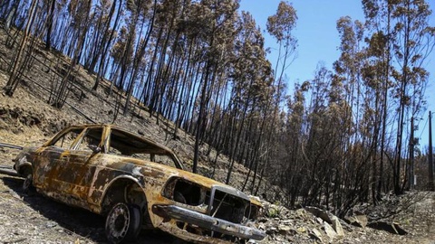 O Ministério da Administração Interna está a coordenar as diversas iniciativas.