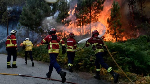 Este é o único incêndio em destaque na página da Protecção Civil neste início de tarde. FOTO LUSA
