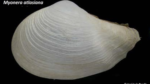 Foto José Luis Rueda