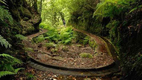 Acidente ocorreu na Levada dos Cedros, na freguesia da Ribeira da Janela.&nbsp;