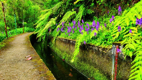 Levada do Norte, lanço norte, na zona do Folhadal.&nbsp;