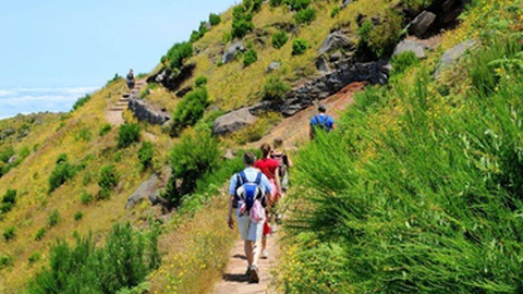 Foto Santana Madeira Biosfera