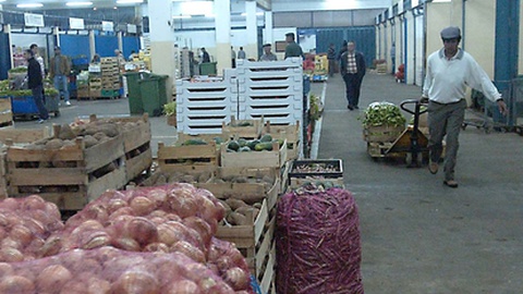 Há arrendatários que há vários anos são 'clientes' do Governo.&nbsp; &nbsp;Foto Arquivo/ARTUR CAMPOS