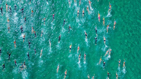 Foto Pedro Vasconcelos