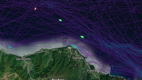 Os dois navios cargueiros (a verde) vão permanecer na zona enquanto não houver condições.&nbsp; &nbsp;Foto Marine Traffic