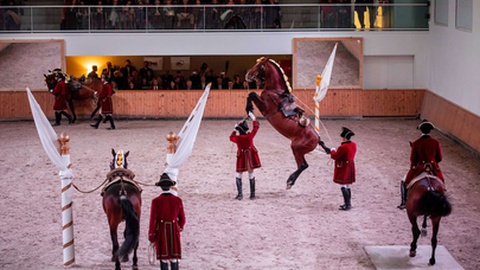 Foto DR/Escola Portuguesa de Arte Equestre
