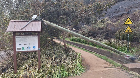 Trilho ao longo da Levada da Ribeira da Janela, que liga ao Galhano, foi severamente afactado pelos incêndios dos últimos dias. Trata-se de um percurso não classificado, mas que era muito procurado por locais e turistas.&nbsp;