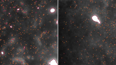 Foto DR/Cambridge University