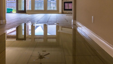 Foto ilustrativa/Shutterstock