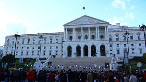 Foto&nbsp;Pedro Louro / Shutterstock.com