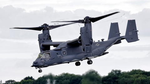 Foto&nbsp;Andrew Harker / Shutterstock.com