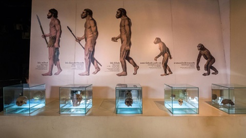 Foto&nbsp;KOKTARO / Shutterstock.com